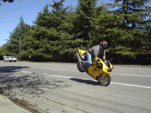 http://www.gwfweb.com/cycles/stop/stop0009.jpg